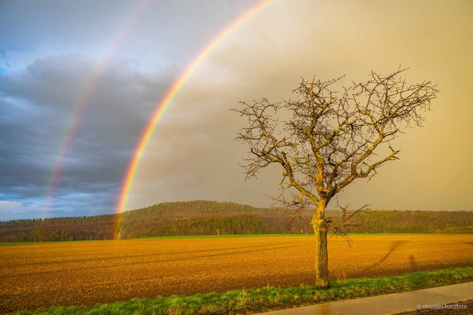 Unter dem Regenbogen