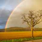 Unter dem Regenbogen