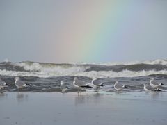 Unter dem Regenbogen