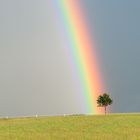 Unter dem Regenbogen