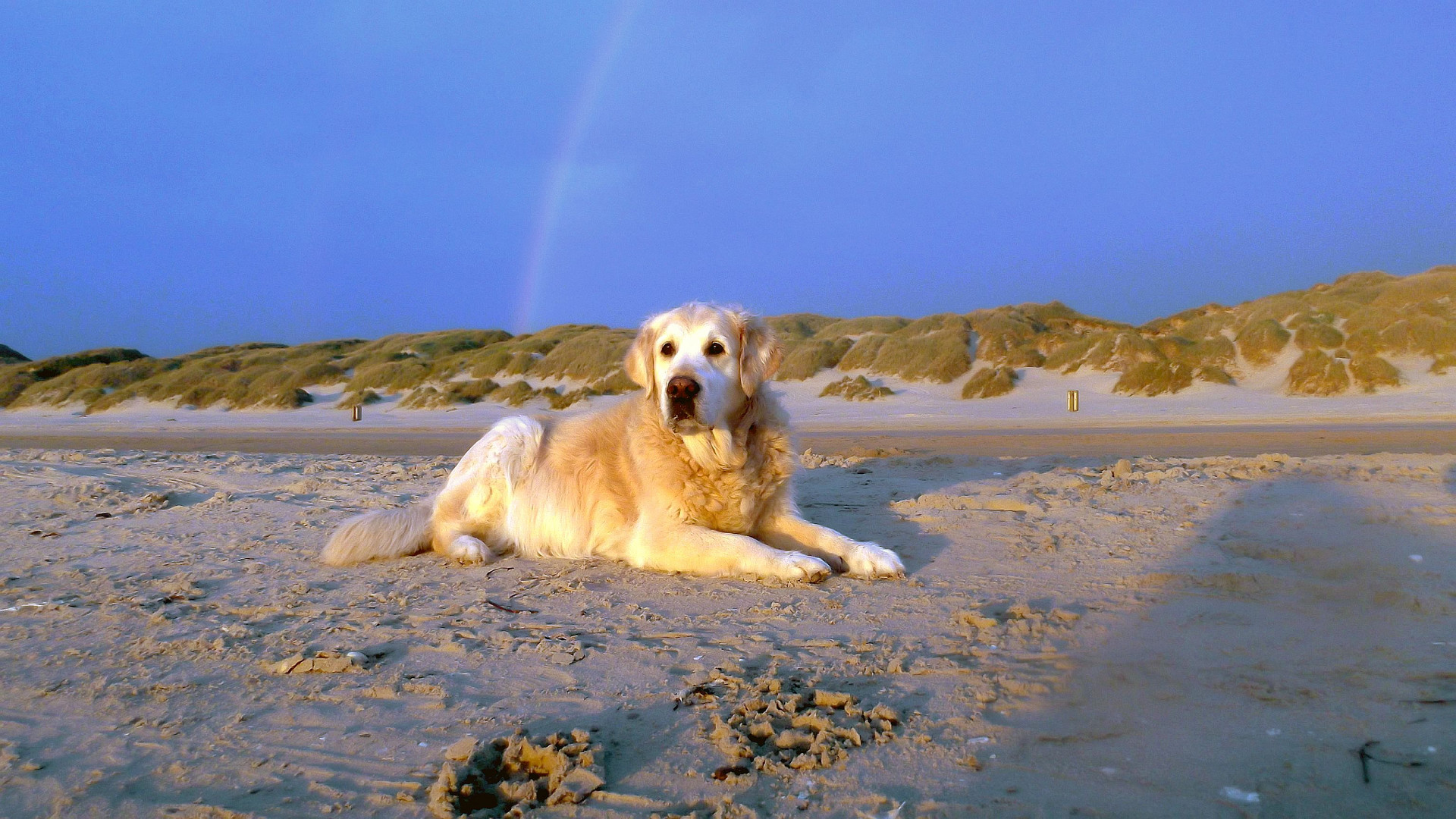 Unter dem Regenbogen