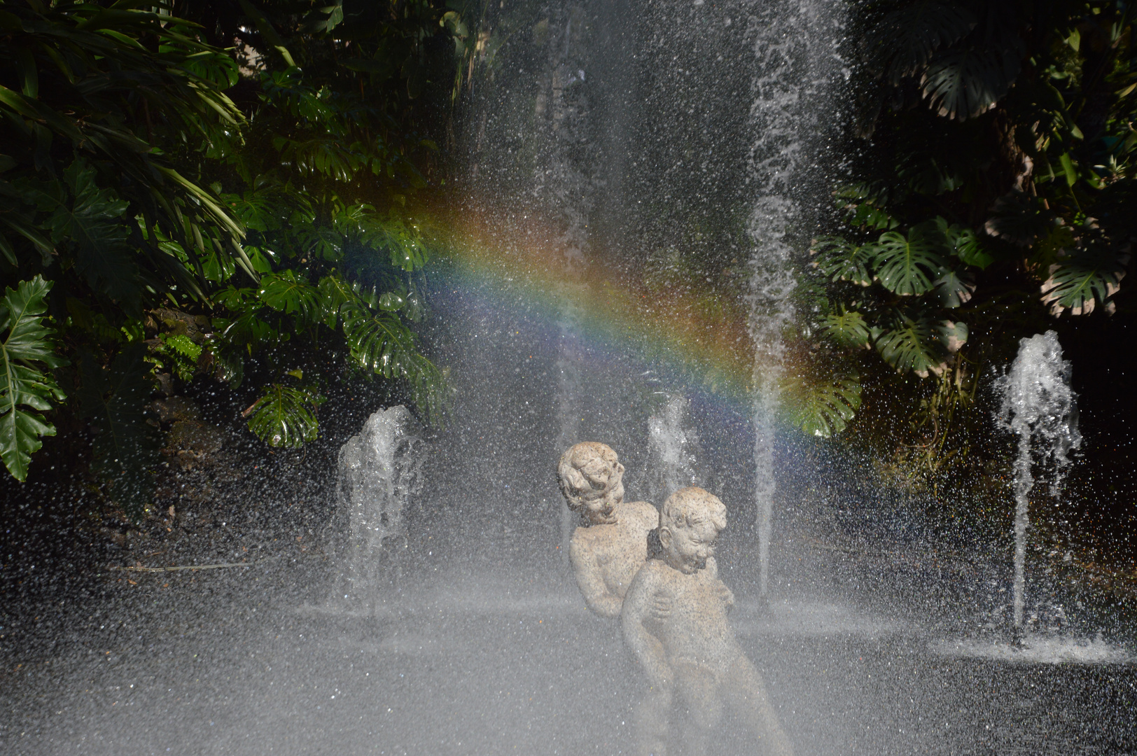 Unter dem Regenbogen