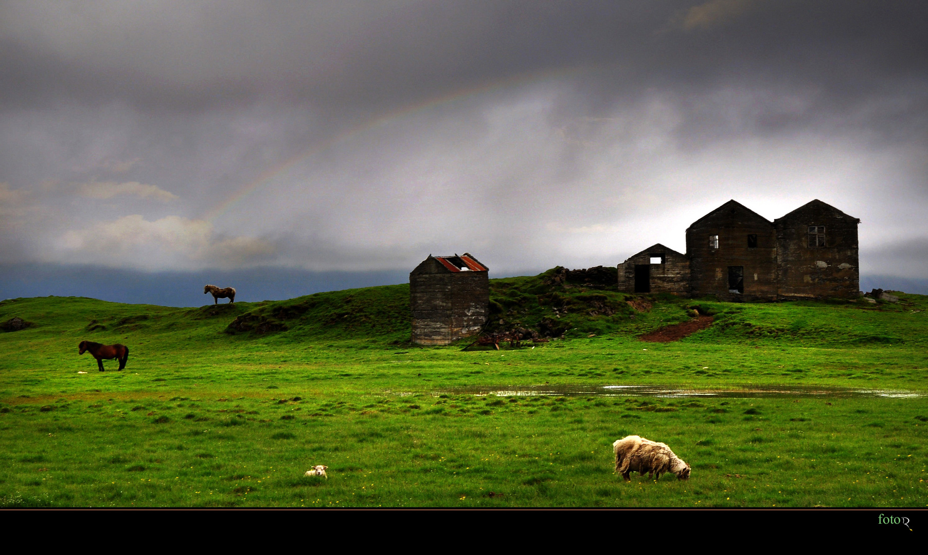 unter dem Regenbogen