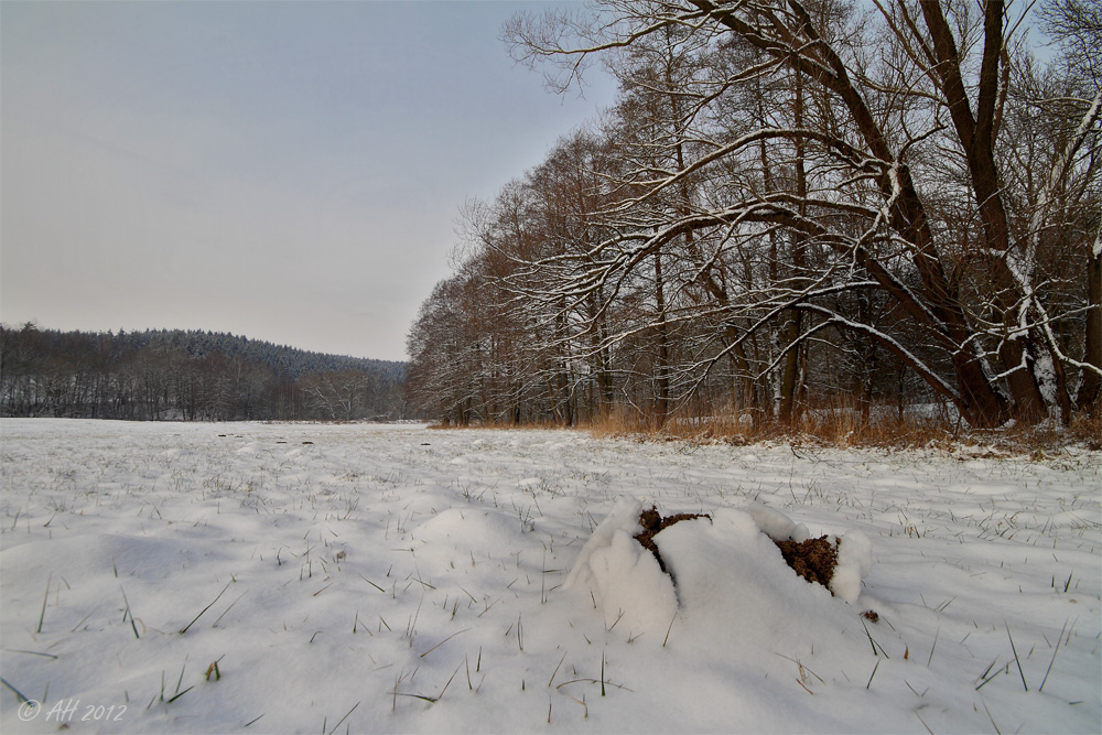 Unter dem Schnee ...