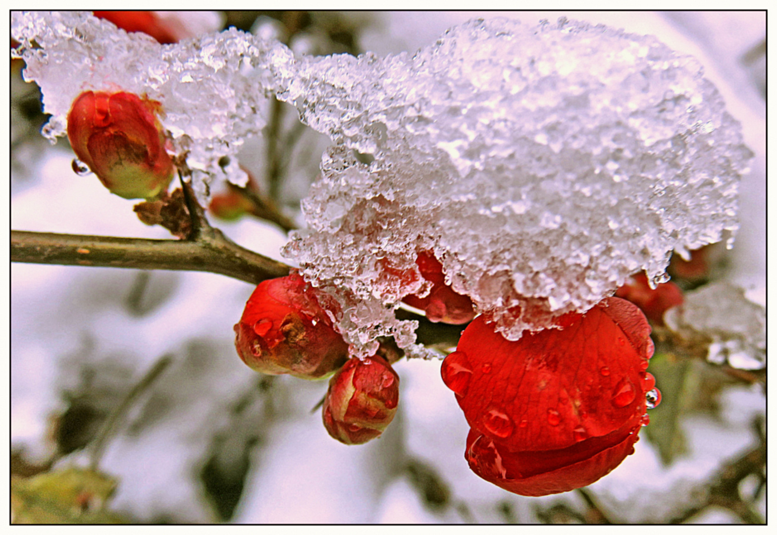 Unter dem Schnee