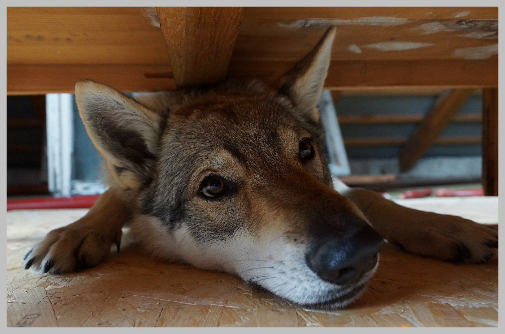 Unter dem Schrank .