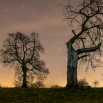 unter dem sternenhimmel