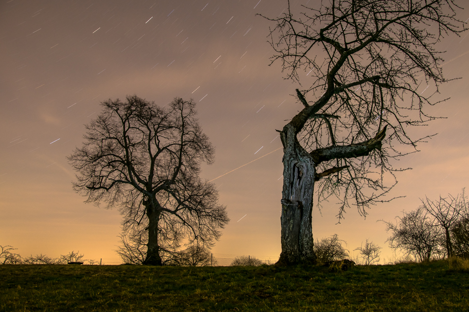 unter dem sternenhimmel