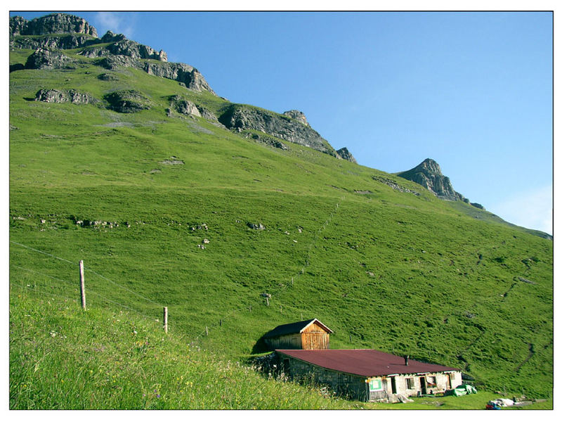 Unter dem Tanzbödeli