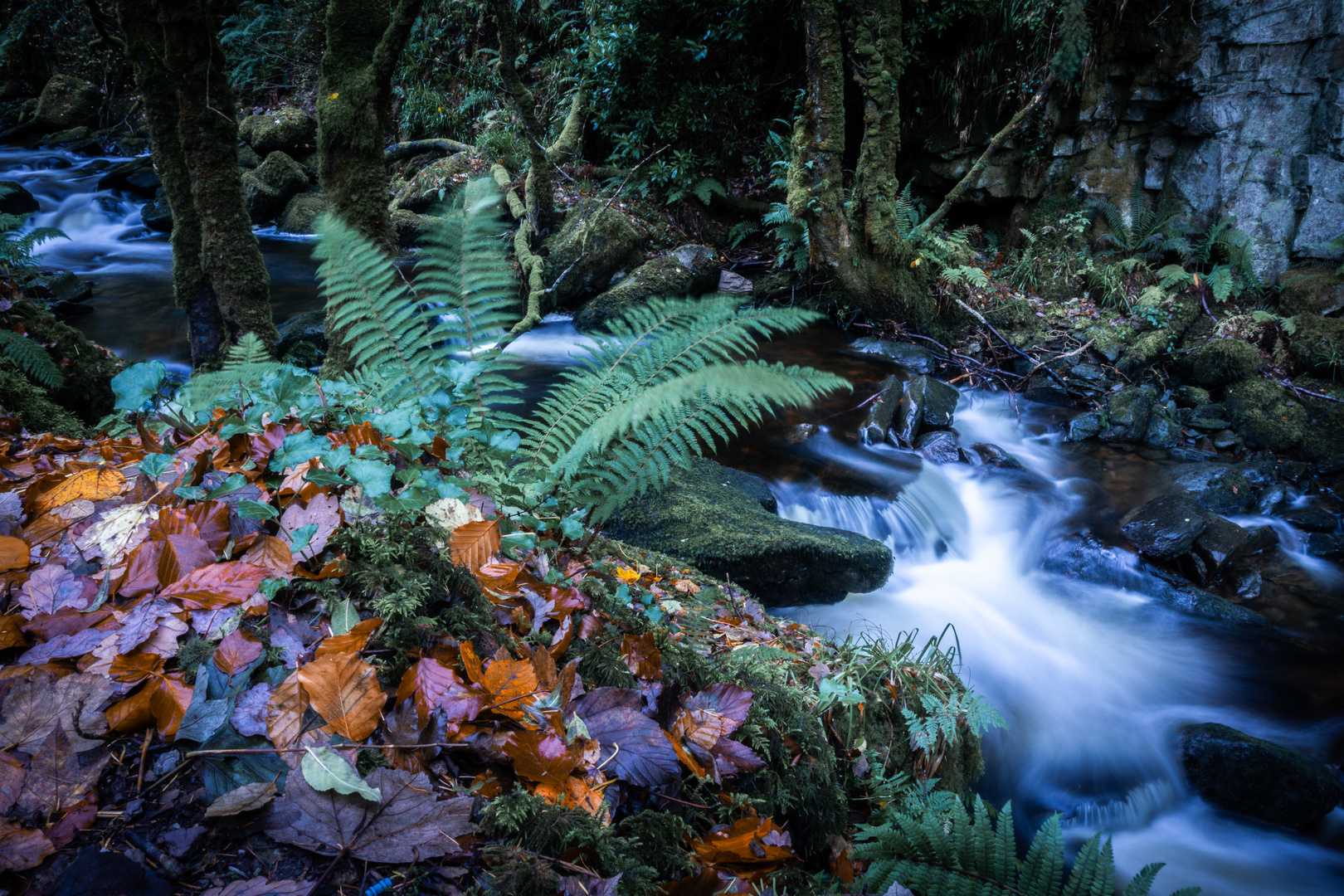 unter dem Torc Wasserfall