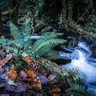 unter dem Torc Wasserfall