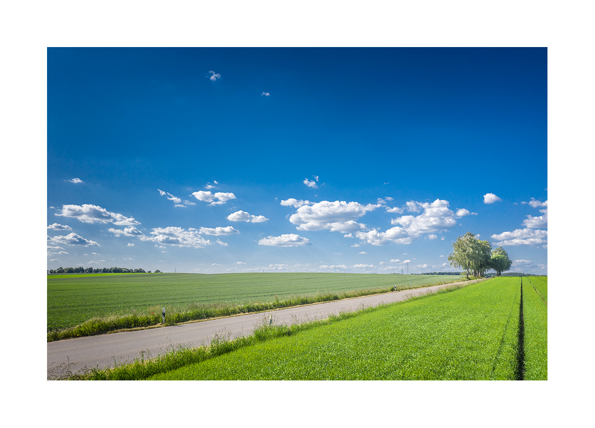 Unter dem weißblauen Himmel des Alois Hinterbichler aus Prittlbach