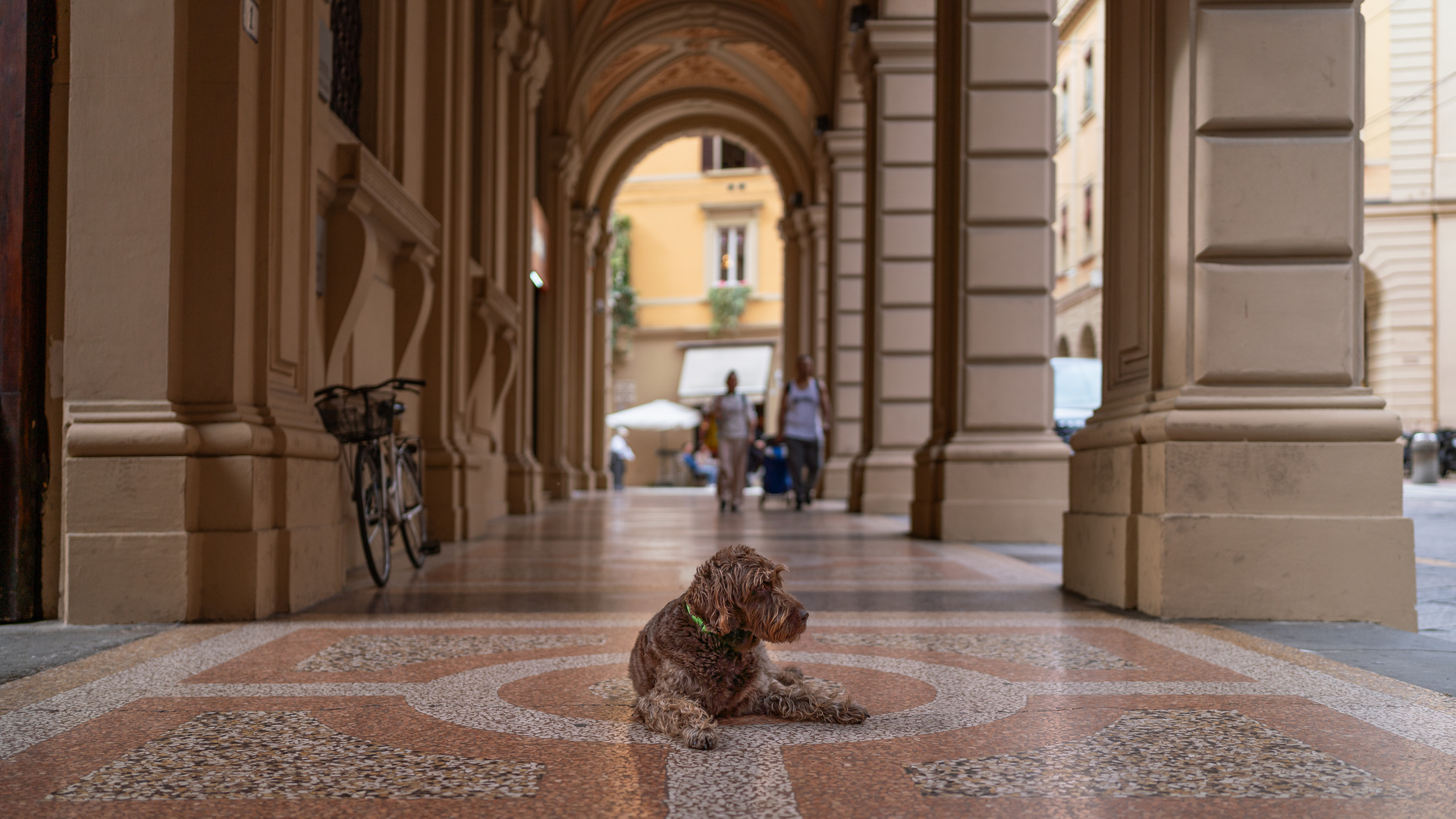 Unter den Arkaden von Bologna