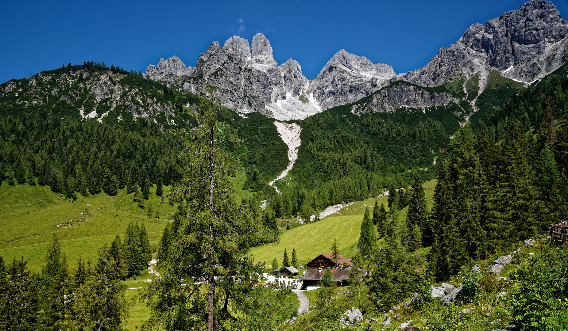 Unter den Bischhofsmützen