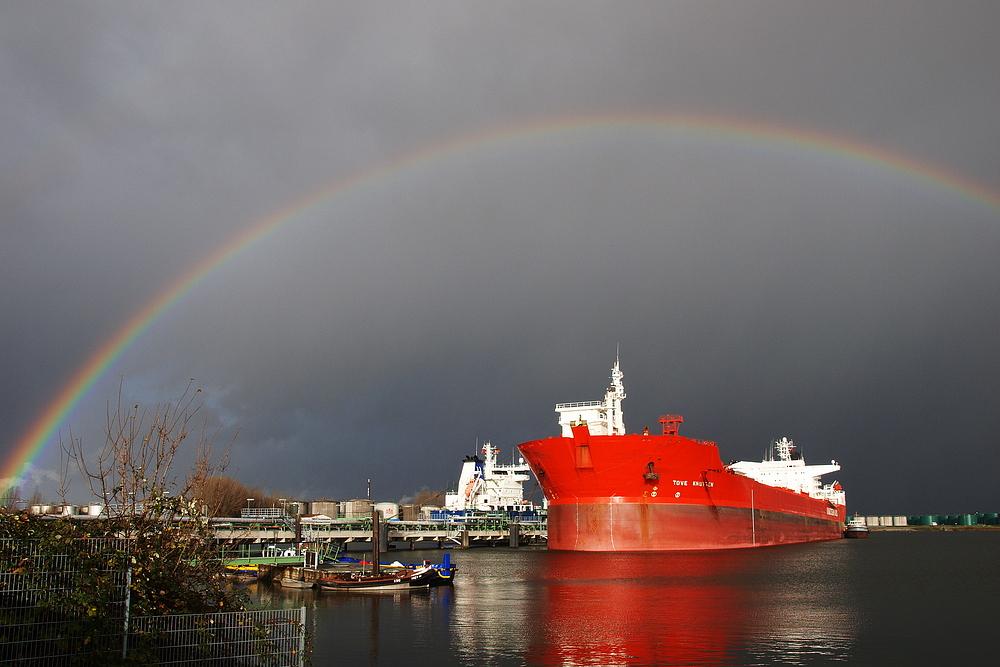 Unter den Farben von Greenpeace