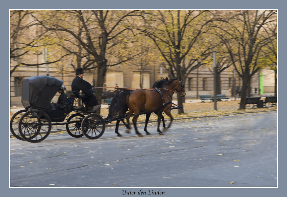 Unter den Linden