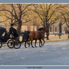 Unter den Linden