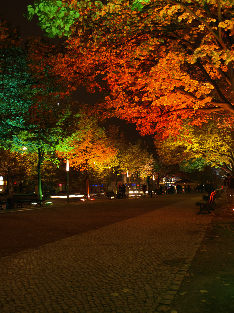 Unter den Linden (2)