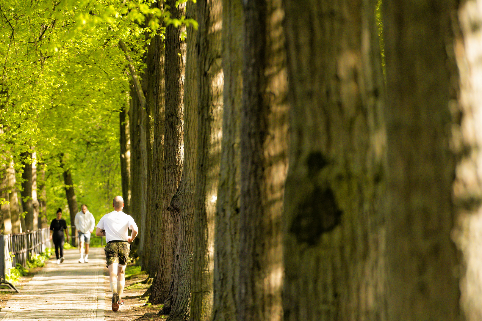 Unter den Linden