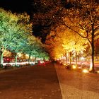 Unter den Linden