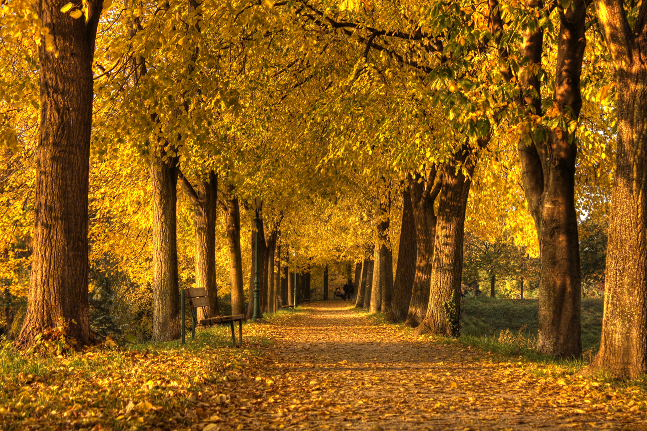 Unter den Linden