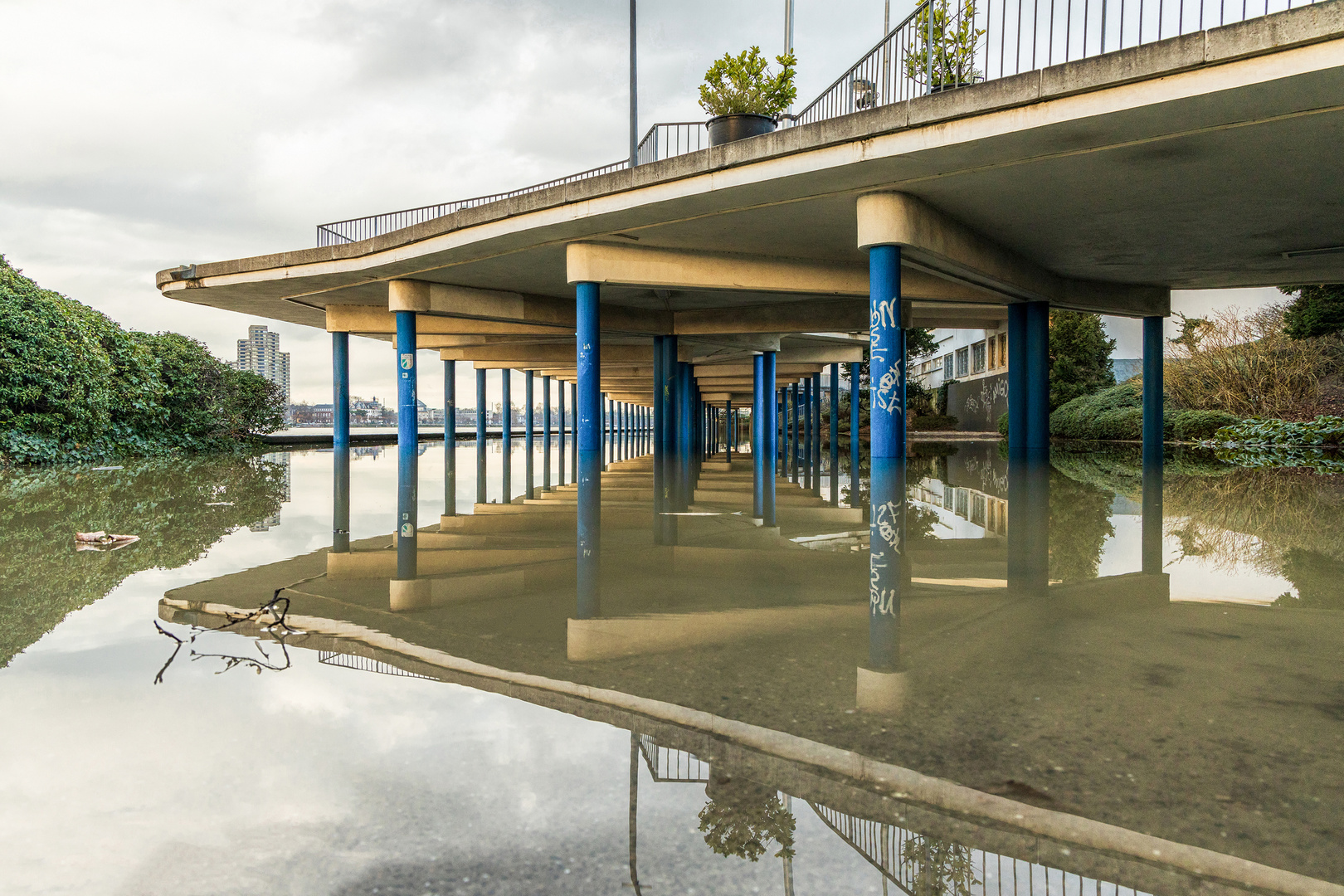 Unter den Rheinterrassen (Spiegeltag 09022021)