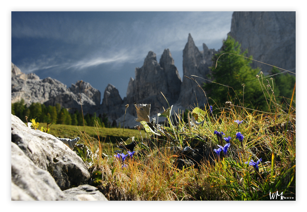 Unter den Spitzen - Dolomiten 2010