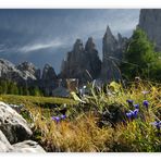 Unter den Spitzen - Dolomiten 2010