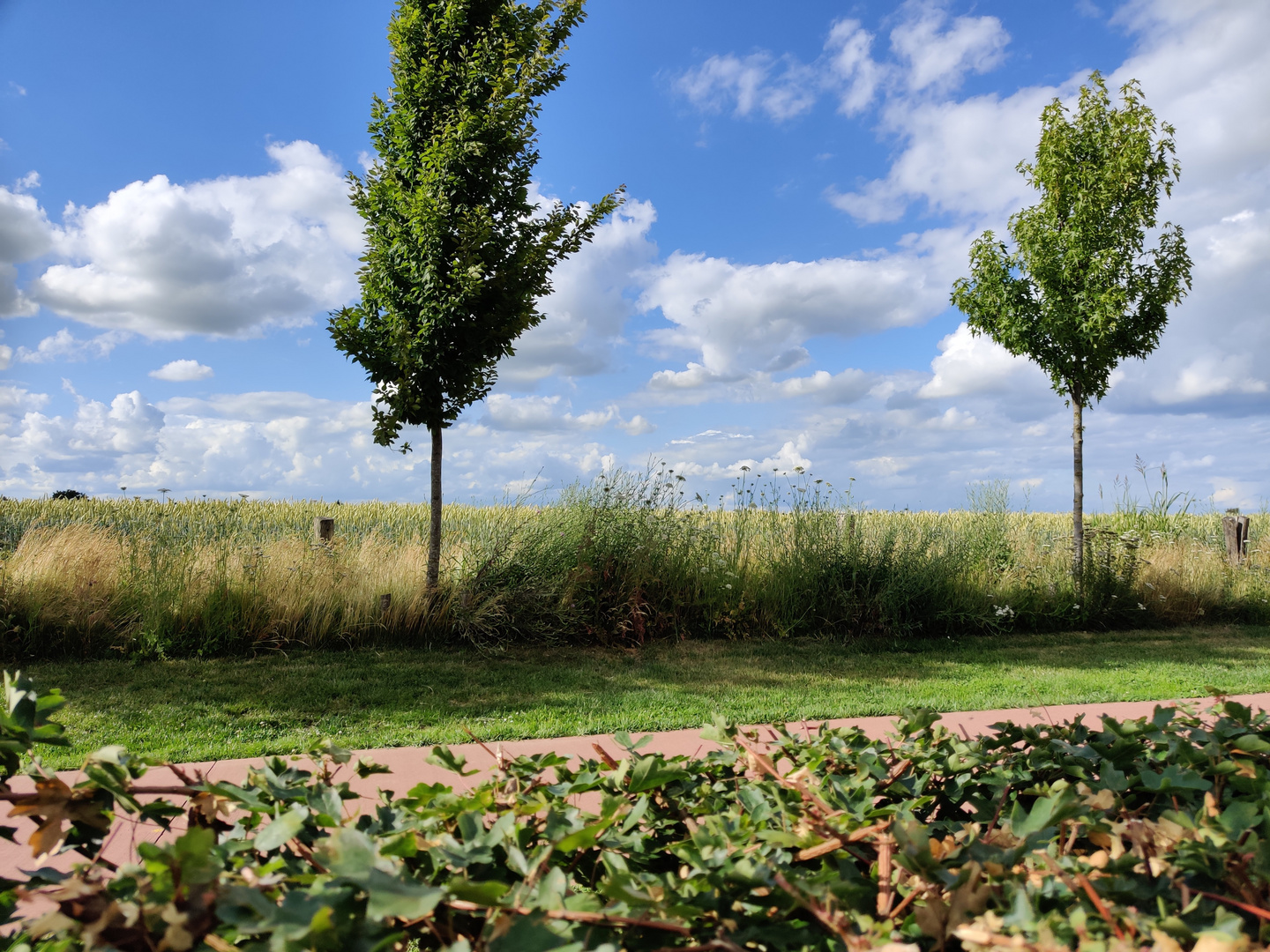 Unter den Wolken