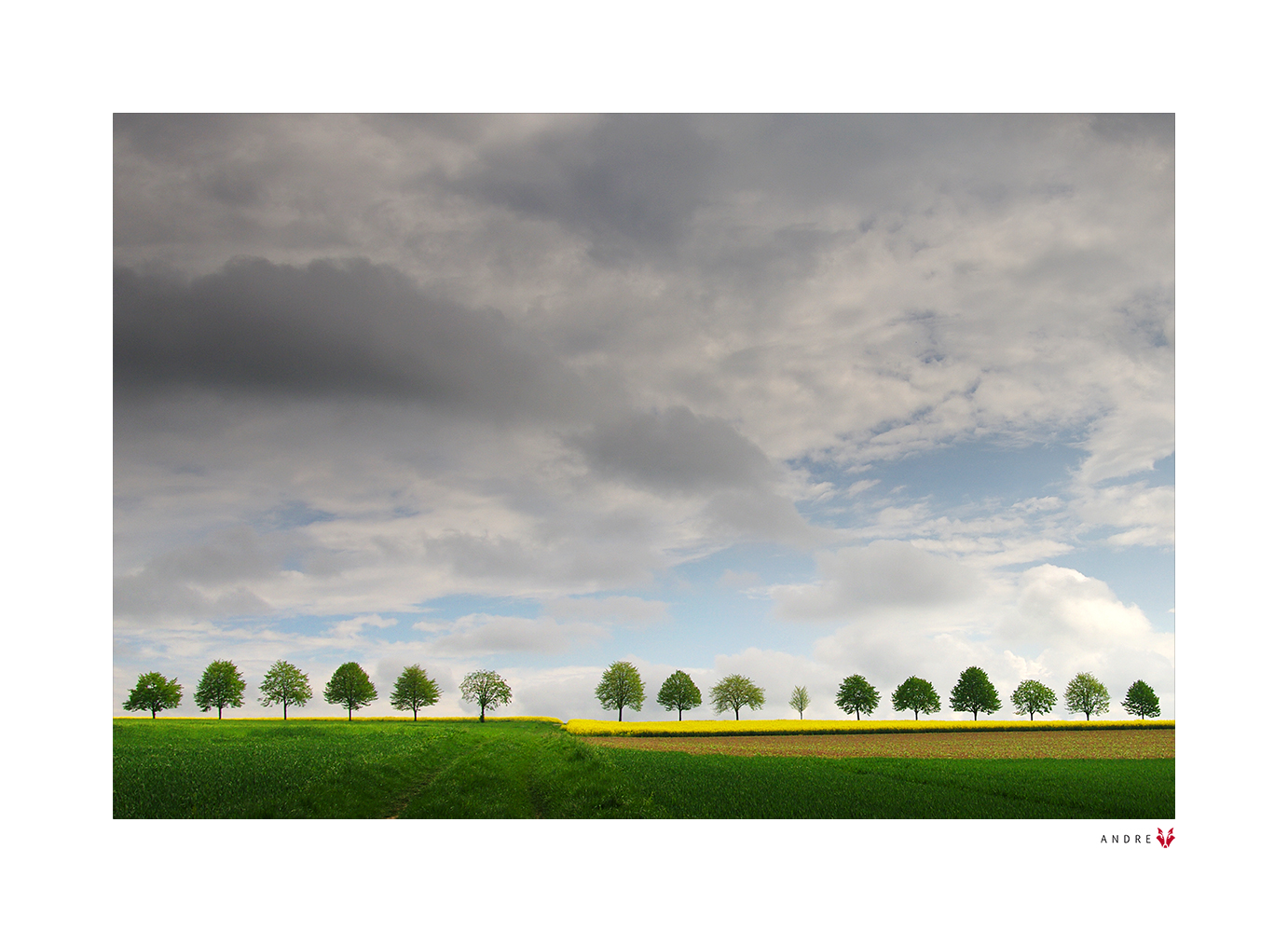 unter den Wolken