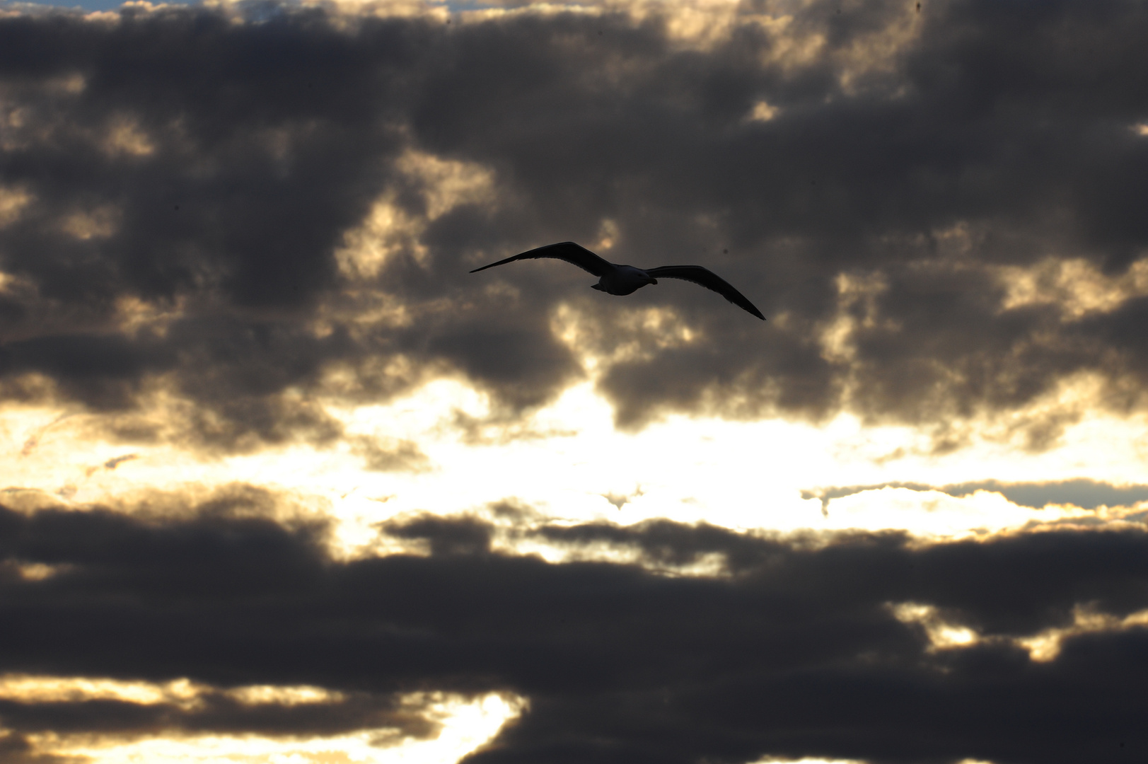 Unter den Wolken    B0002324