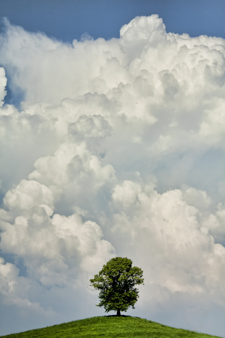 Unter den Wollken