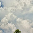 Unter den Wollken