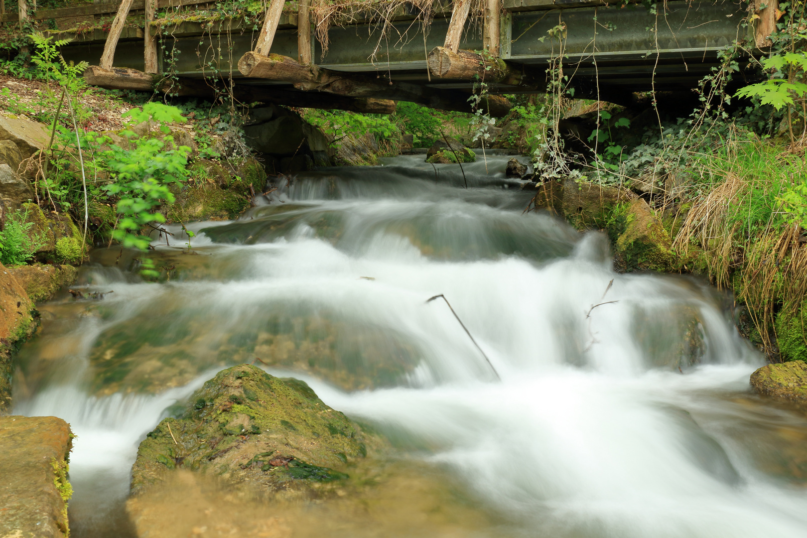 unter der 7. Brücke musst stehen