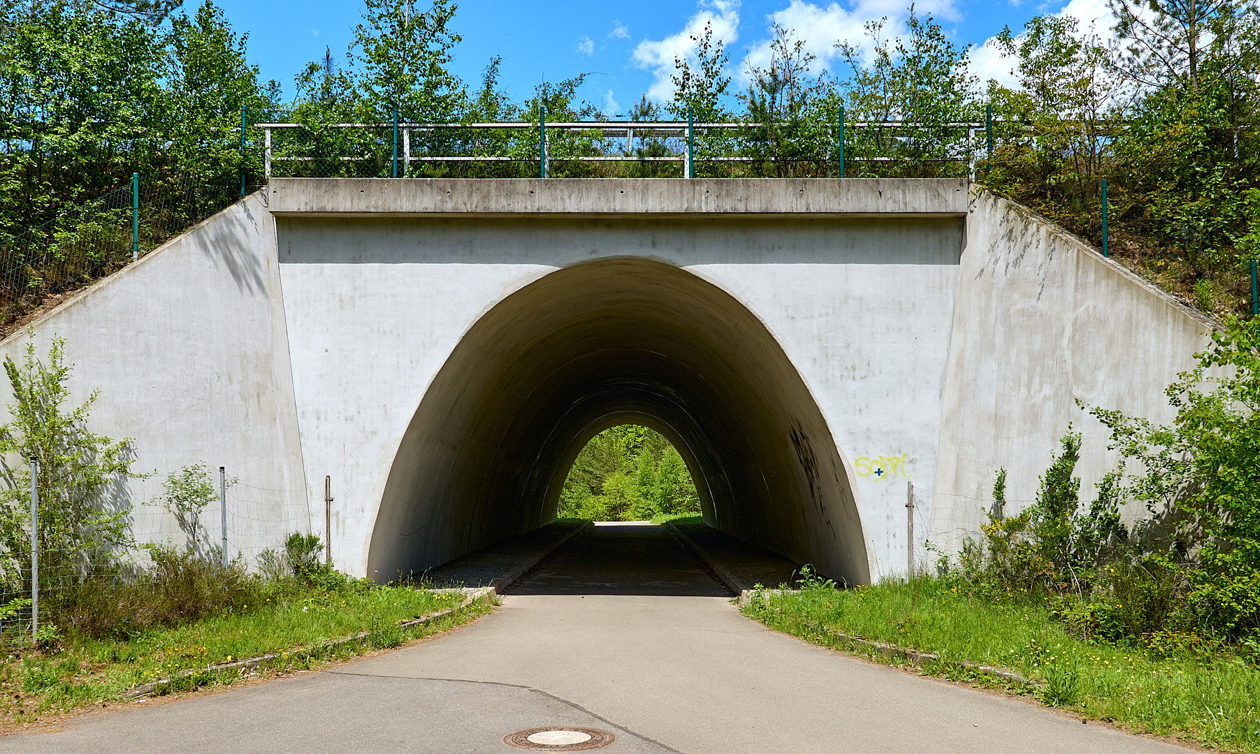 Unter der  A6 hindurch in den Wald geschaut.