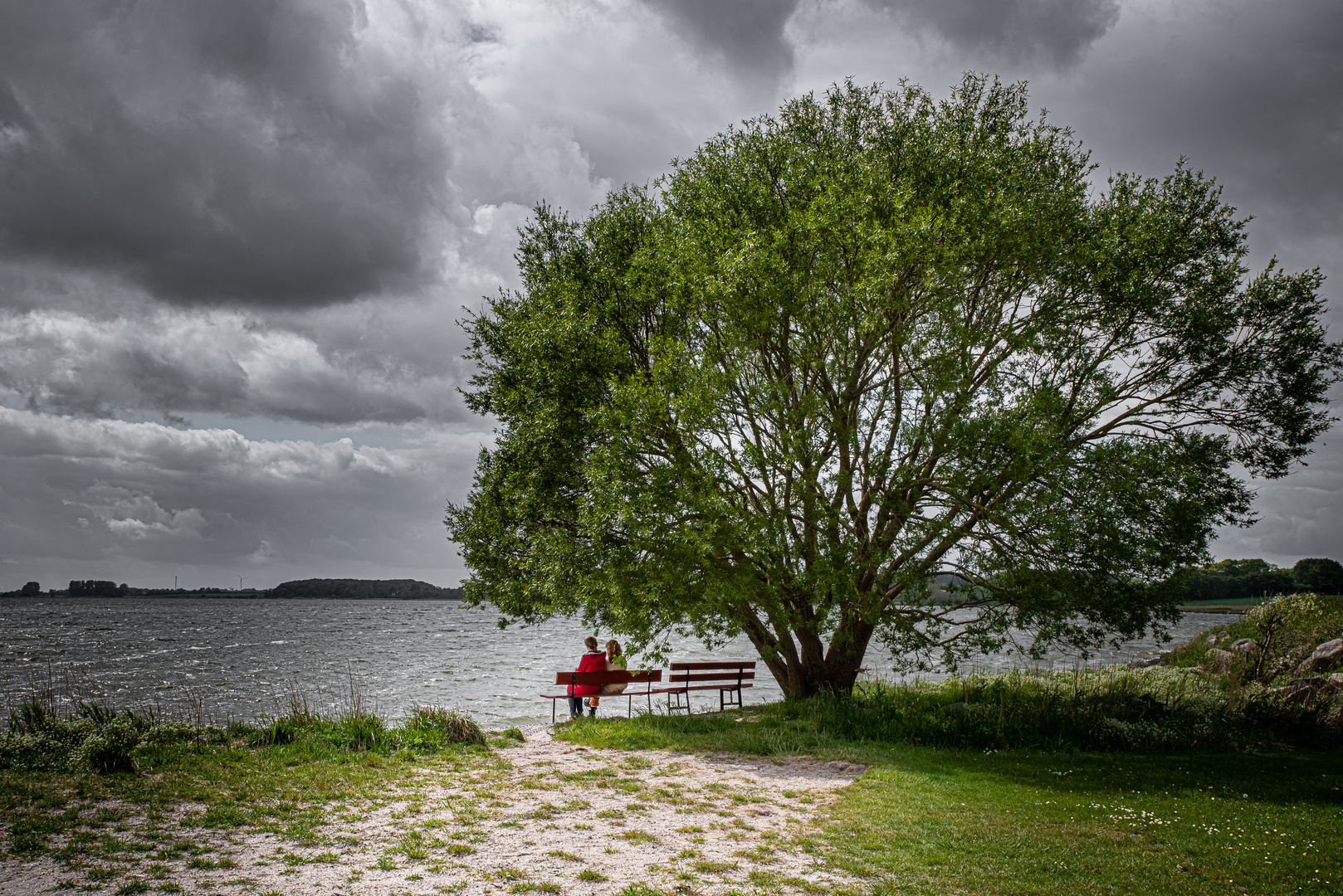 Unter der alten Weide