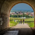 Unter der Autobahnbrücke A6 geht die Weinwanderung