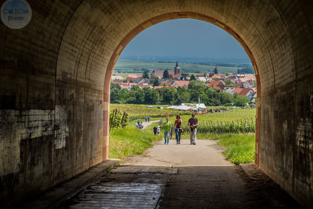 Unter der Autobahnbrücke A6 geht die Weinwanderung