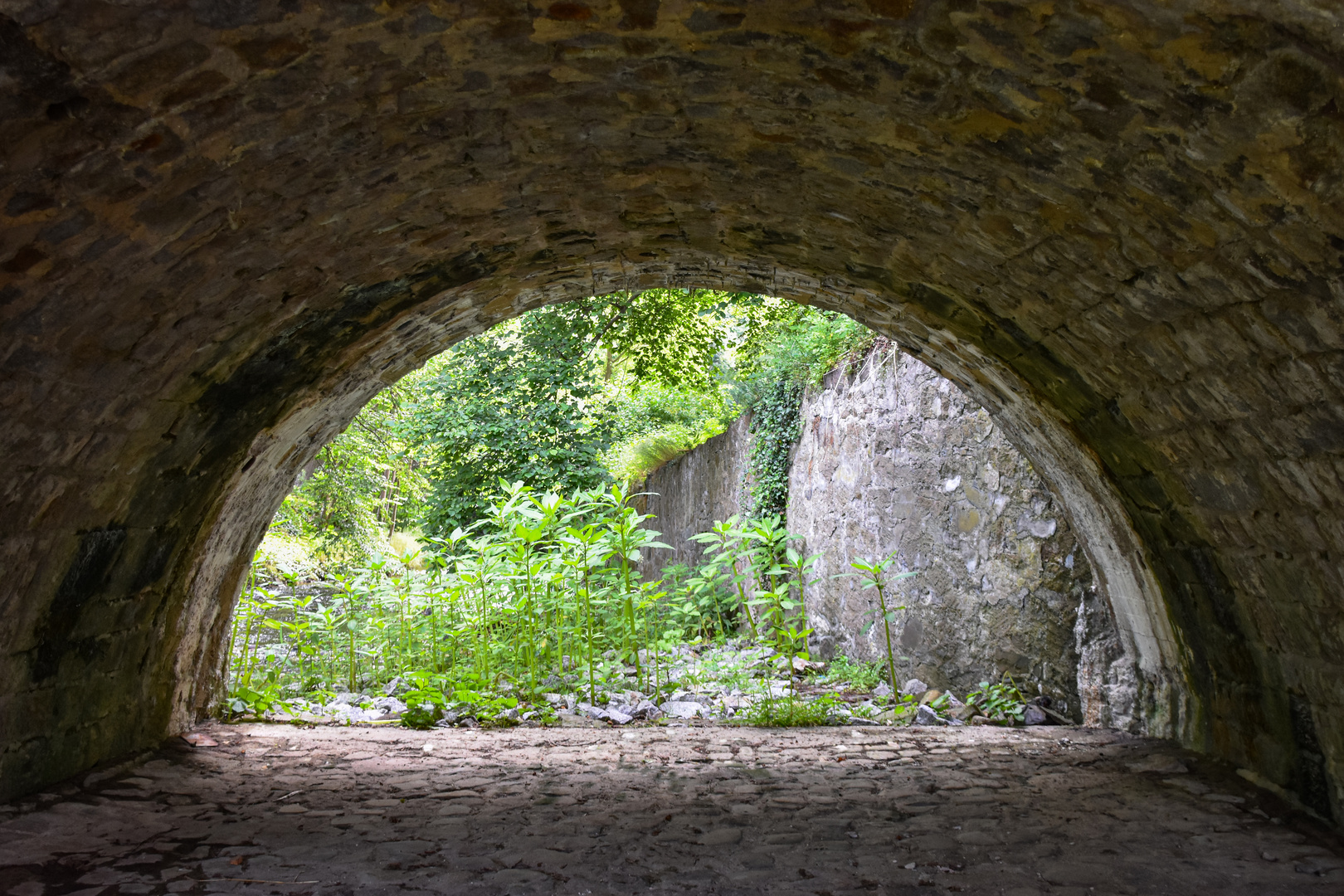 Unter der Brücke