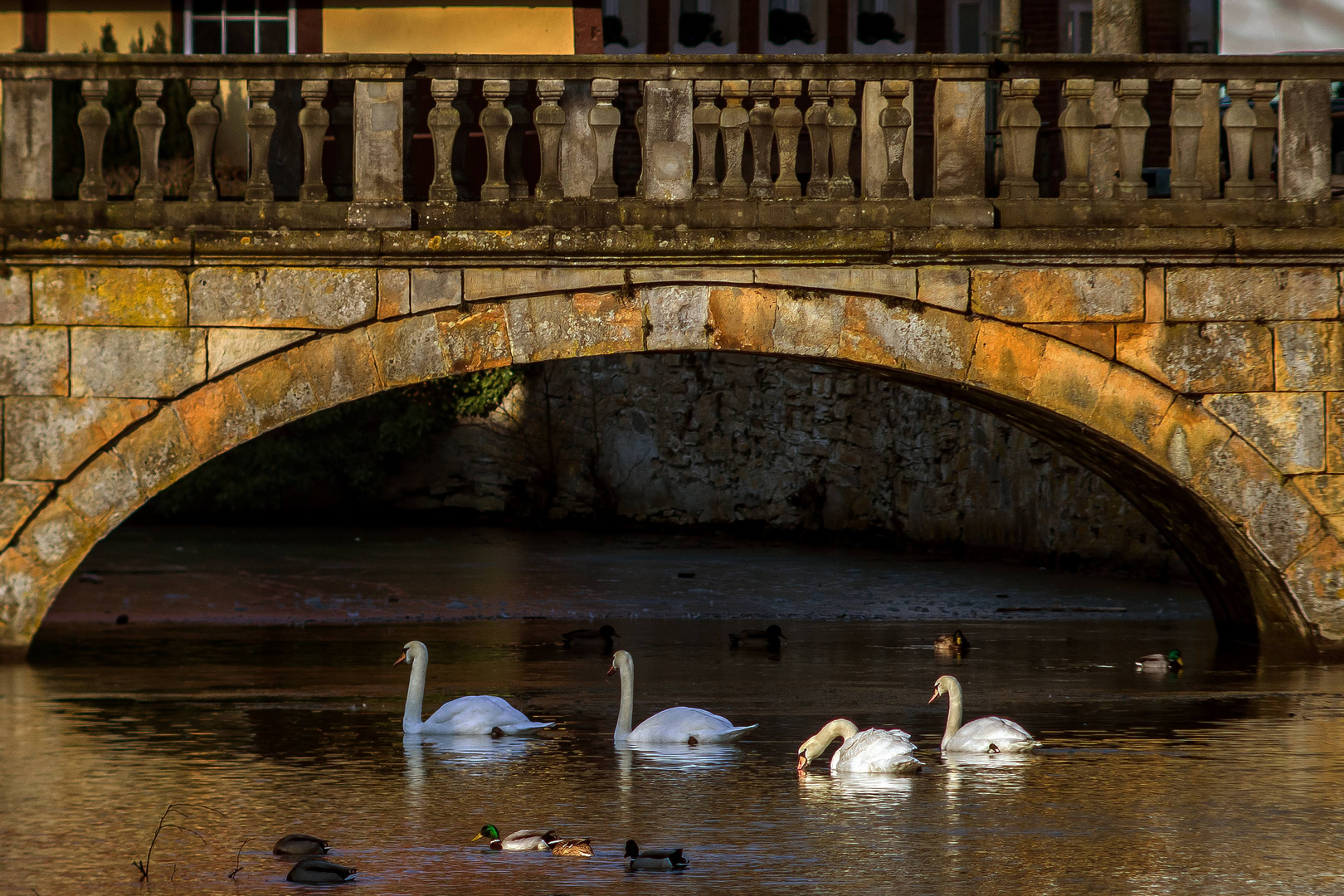 Unter der Brücke