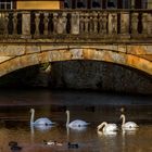 Unter der Brücke