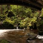 unter der Brücke