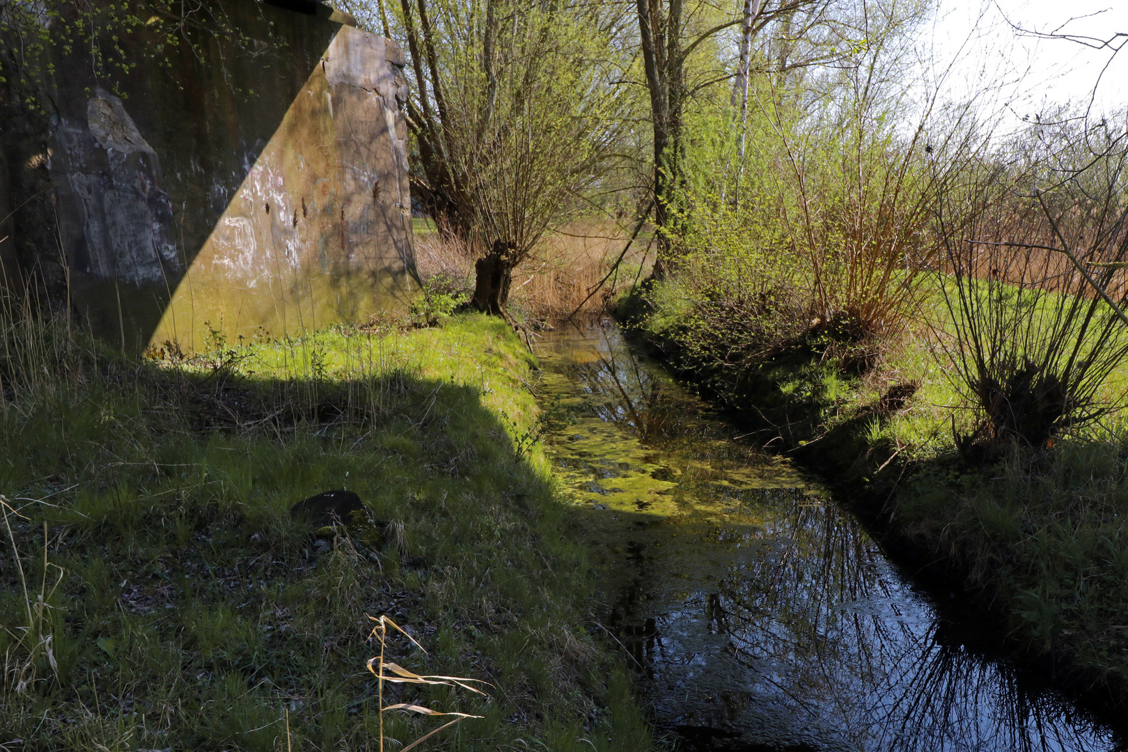 Unter der Brücke