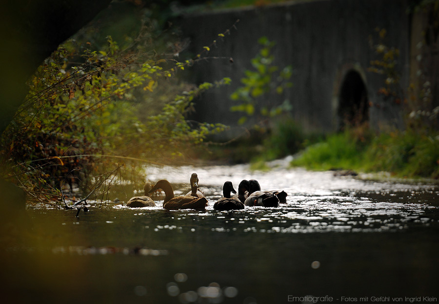 Unter der Brücke