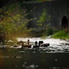 Unter der Brücke