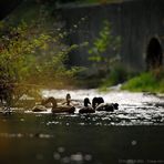 Unter der Brücke