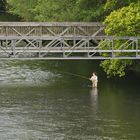 Unter der Brücke wird man nicht nass