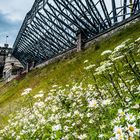 Unter der Burg-Tribüne