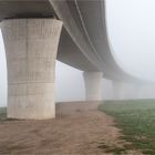 Unter der Elbauenbrücke