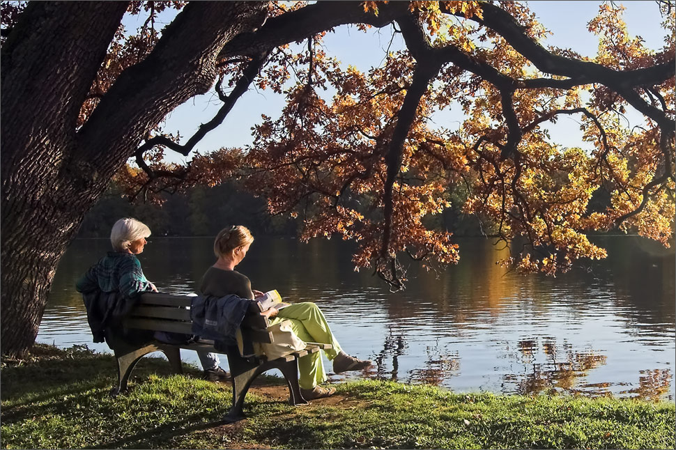 unter der goldenen Eiche Foto & Bild | jahreszeiten, herbst, natur